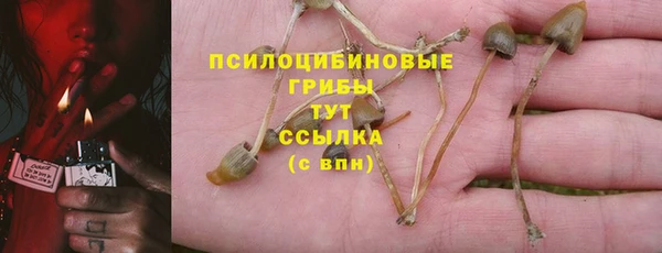 крисы Абдулино