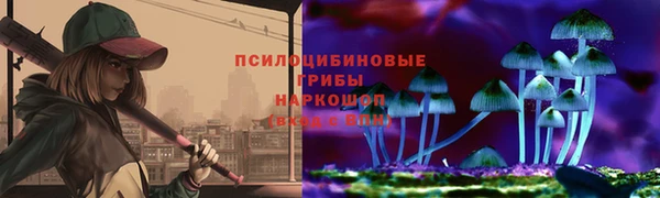 дурь Рославль